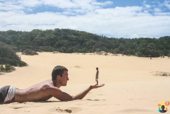 Fraser – Australia