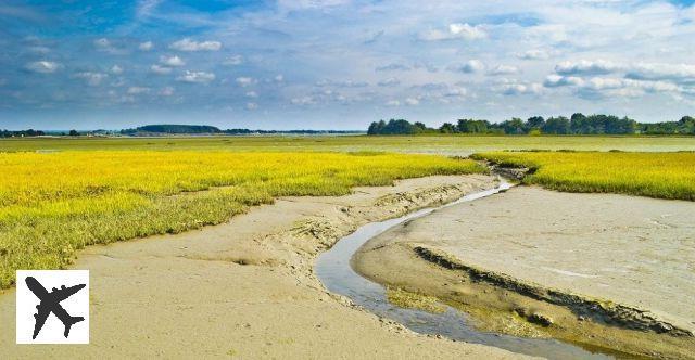 Dans quelle ville loger autour du Golfe du Morbihan ?