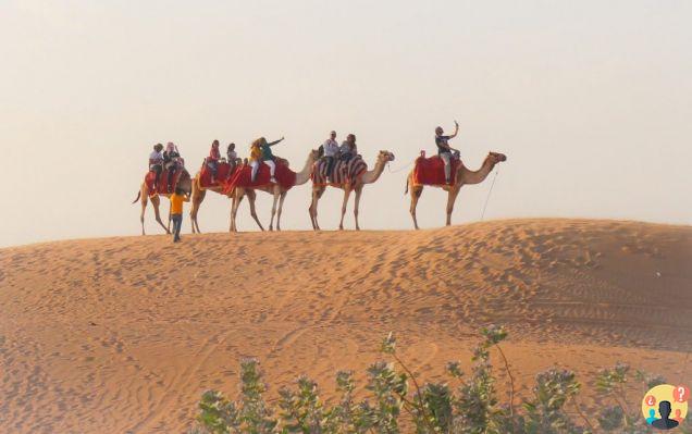 Que faire à Dubaï – 12 conseils de visite indispensables