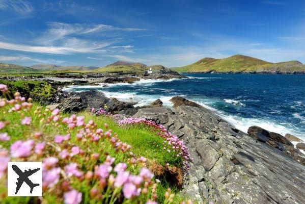 Visiter l’Anneau du Kerry depuis Cork : réservations & tarifs