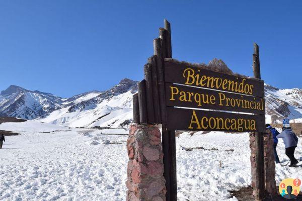 Mendoza – All about the city of Argentine wineries