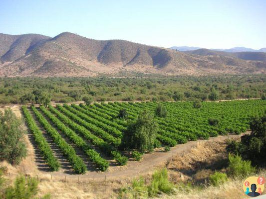 Mendoza – All about the city of Argentine wineries