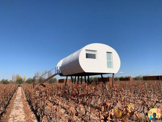 Entre Cielos Mendoza – un soggiorno tra le cantine