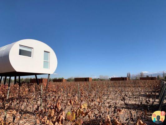 Entre Cielos Mendoza – un soggiorno tra le cantine