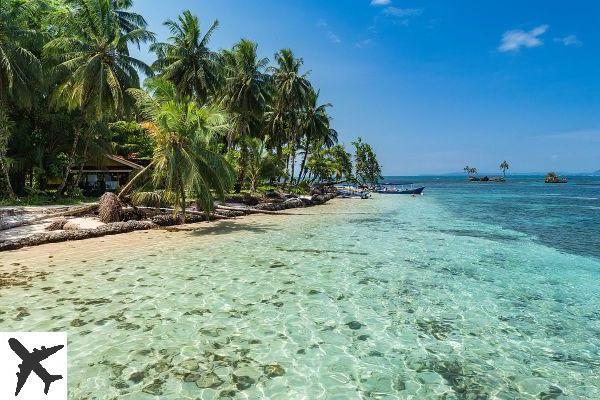 Qué ver y hacer en Bocas del Toro