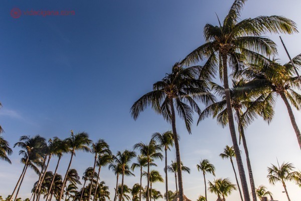 Quelle est la meilleure période pour voyager à Aruba ?