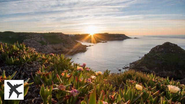 Les 8 choses incontournables à faire à Jersey