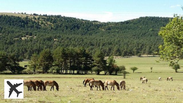 Visiter Thorenc : que faire, que voir ?