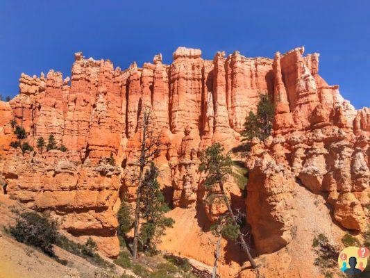 Parc national de Bryce Canyon, Utah - Le guide complet