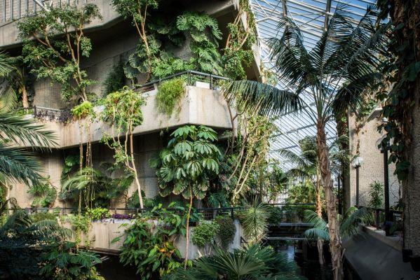 Barbican Glasshouse Londra, apertura maggio