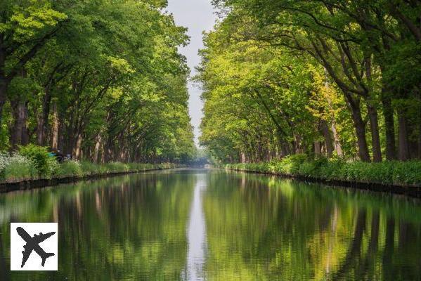 Visiting the Canal du Midi : complete guide