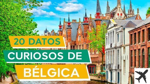 Curiosidades de belgica