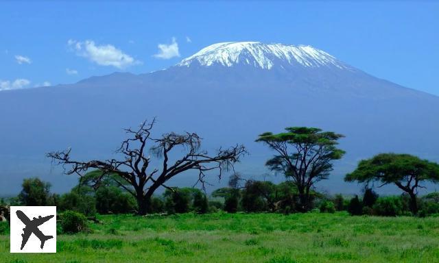 Qué ver y hacer en Tanzania