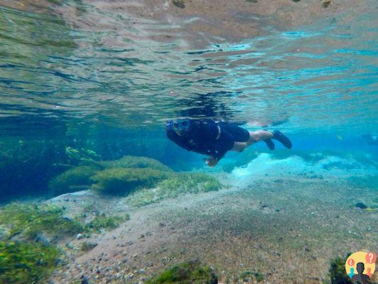 Viaggi invernali: 5 posti in Spagna che sono ancora migliori in questa stagione