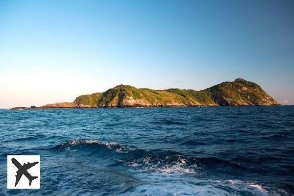 Queimada Grande Island, conosciuta anche come 