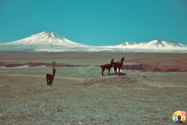 Atacama – Guida di viaggio