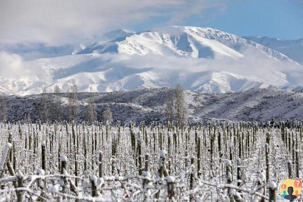 Qué hacer en Mendoza – Los 25 mejores tours