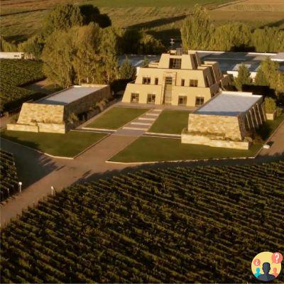 What to do in Mendoza – The 25 best tours