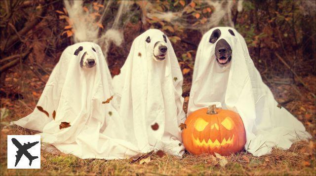 La tradition d’Halloween à travers le monde