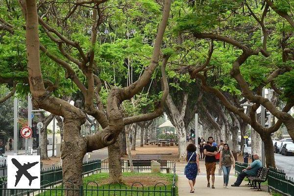 Dans quel quartier loger à Tel Aviv ?