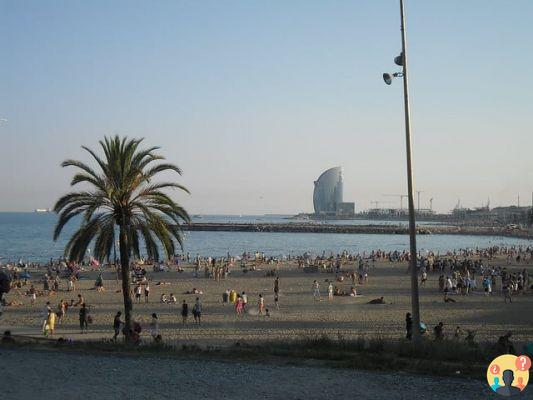 Qué hacer en Barcelona para los que se quedan de 1 a 5 días en la ciudad