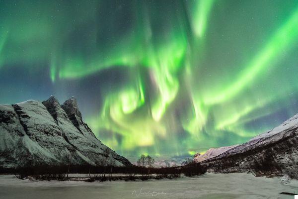 Tromso boreal