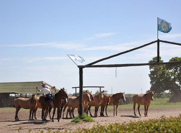 Visiter un ranch argentin avec les gauchos au départ de Buenos Aires