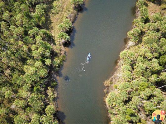 Adventure Coast: la ruta de ecoaventura de Florida