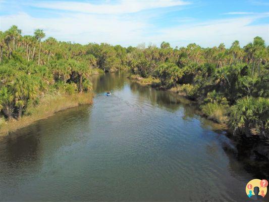 Adventure Coast: il percorso di eco-avventura della Florida