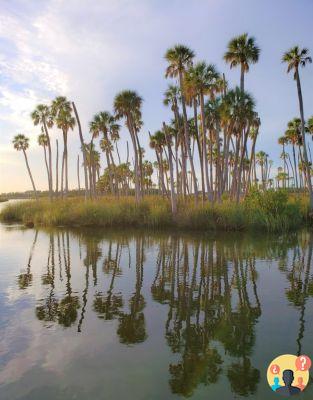 Adventure Coast: il percorso di eco-avventura della Florida