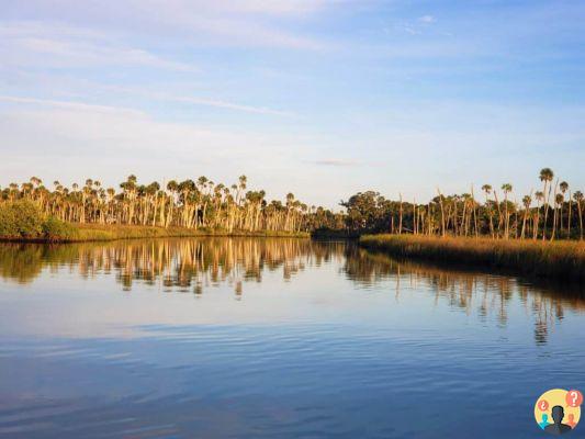 Adventure Coast - La route éco-aventure de la Floride