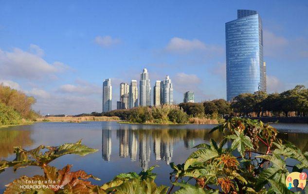 Puerto Madero Buenos Aires – Qué hacer, dónde comer y más