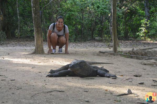 Las estafas más comunes a los turistas en Indonesia