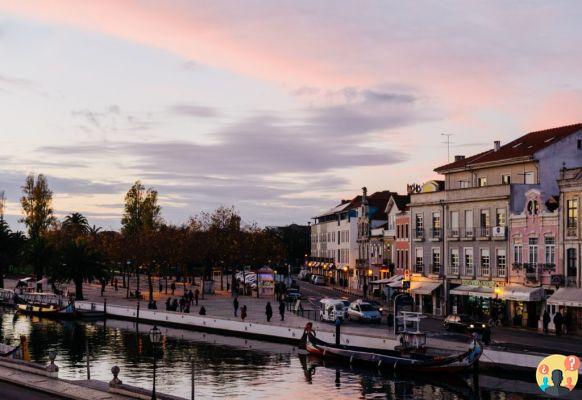 Aveiro en Portugal – Consejos para conocer lo mejor de la ciudad