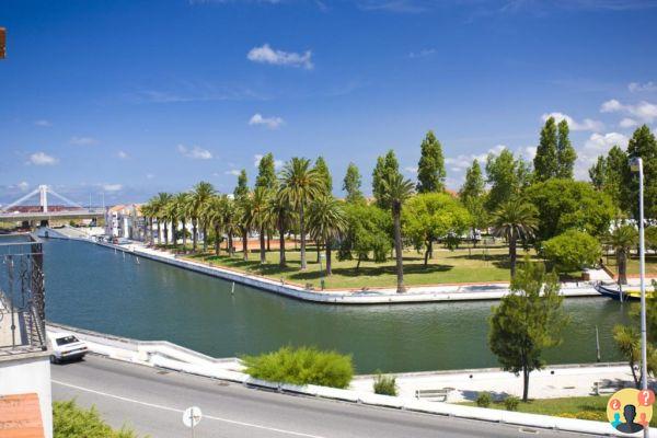 Aveiro au Portugal – Conseils pour connaître le meilleur de la ville