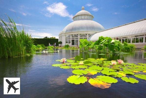 Visiter le jardin botanique de New York : billets, tarifs, horaires