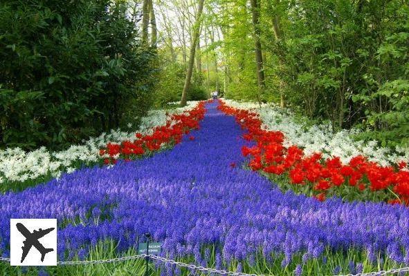 Visiter Keukenhof en 2020 depuis Amsterdam : billets, tarifs, horaires