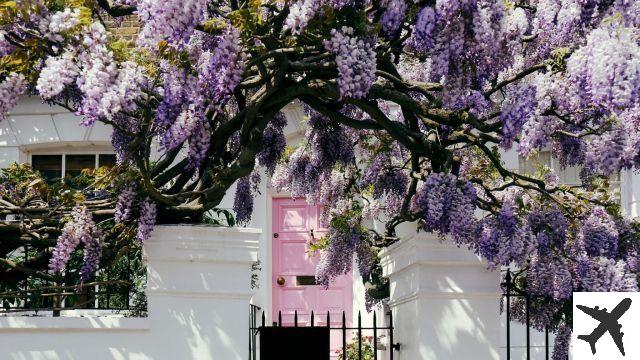 Where to see spring flowering in London