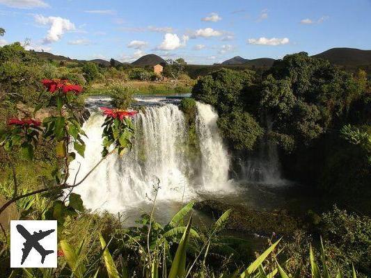 Les richesses faunistiques et floristiques de l’Est et du Sud de Madagascar