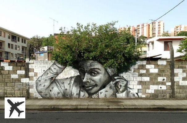 35 œuvres de street-art en interaction avec la nature