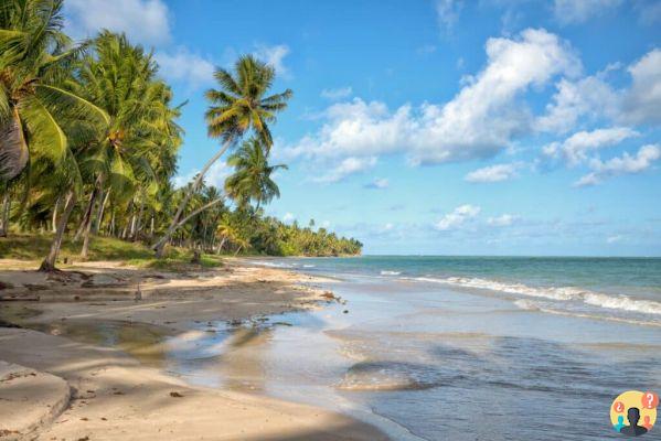 São Miguel dos Milagres – Scopri tutto di questo paradiso