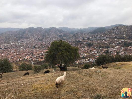 Cosa fare a Cusco – Le principali attrazioni