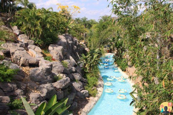 Disney – Le guide complet des parcs du monde entier