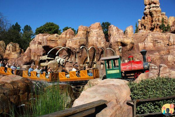 Disney – Le guide complet des parcs du monde entier