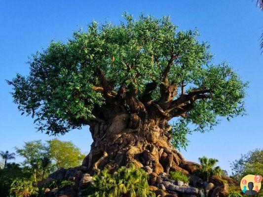 Disney: la guía completa de parques de todo el mundo