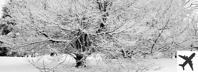 Winter in Italy: 11 destinations to enjoy the European winter