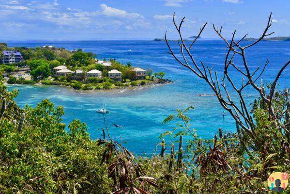 Isole dei Caraibi – Le 11 migliori per prenotare il tuo viaggio