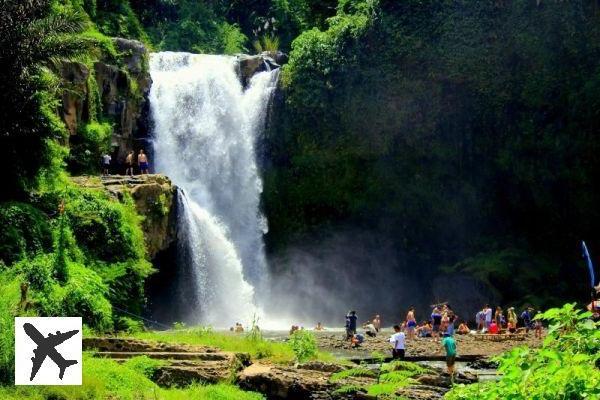 Visiter la cascade de Tegenungan à Bali : la cascade la plus accessible de Bali