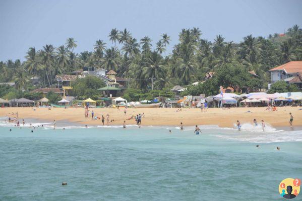 Qué hacer en Sri Lanka