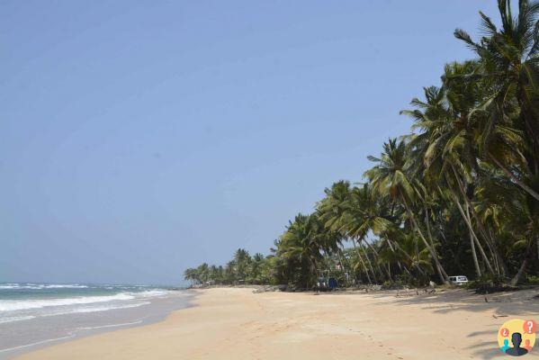 Qué hacer en Sri Lanka